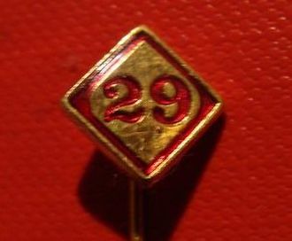 29pin