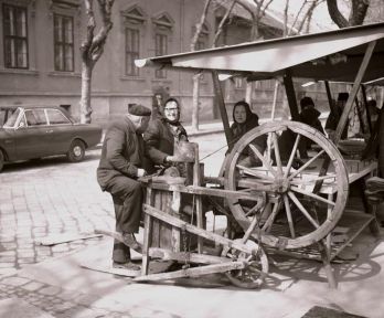 zelena pijaca subotica
