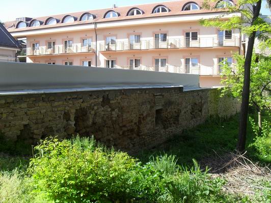 Slika