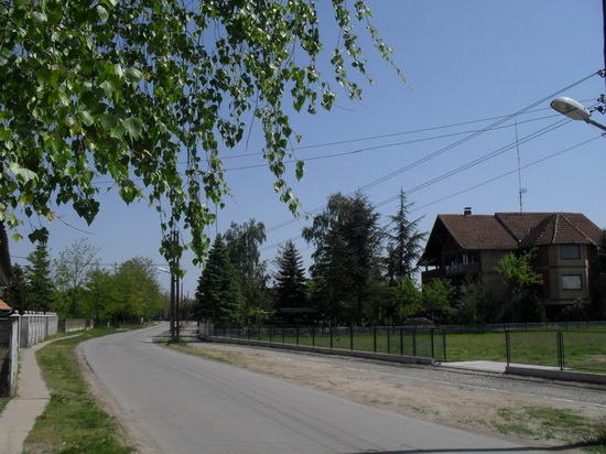 Slika