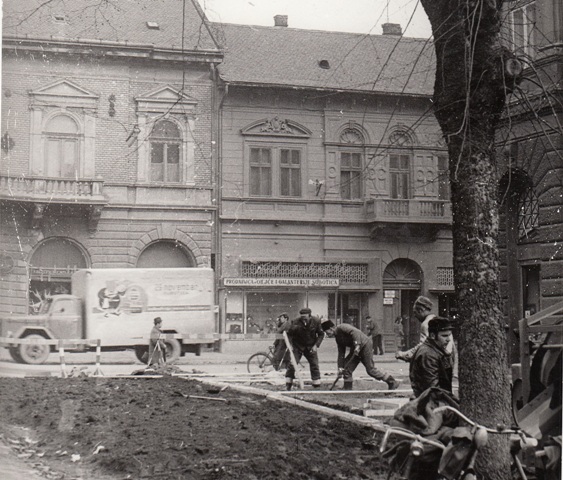 plato zorana djindjica (2)