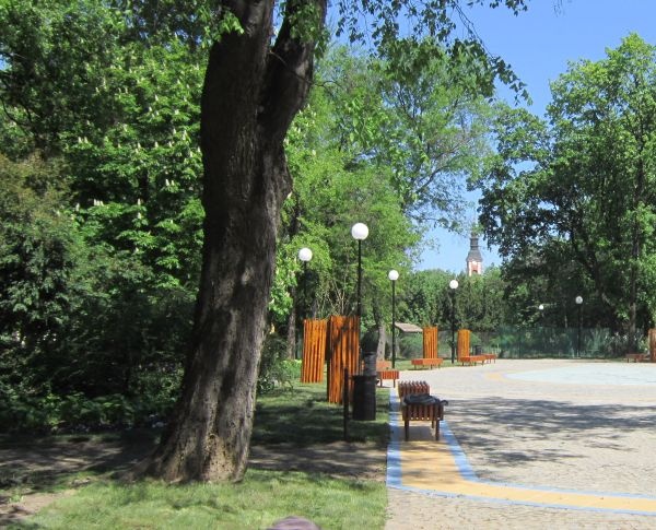 zenta5