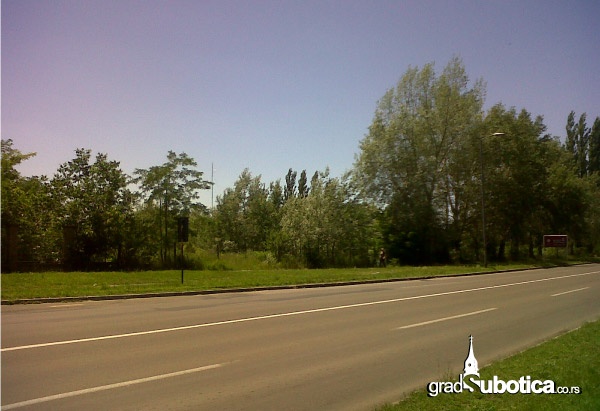 Quinterra-Subotica-06