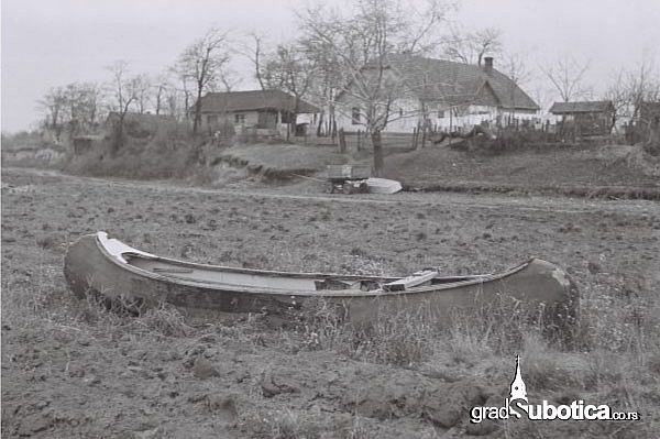 palic-1974-god