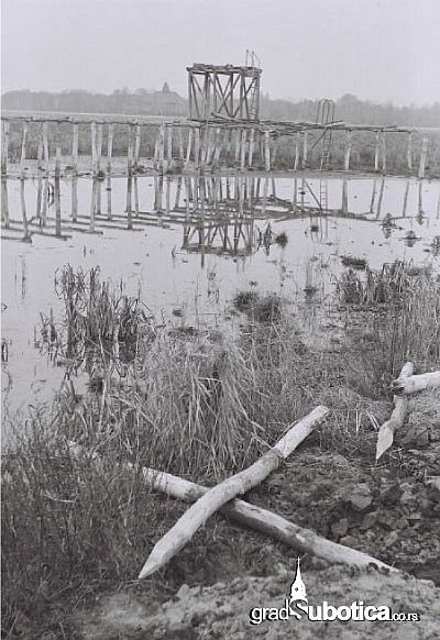 palic-1974