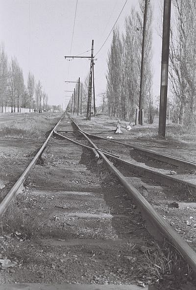 za palic