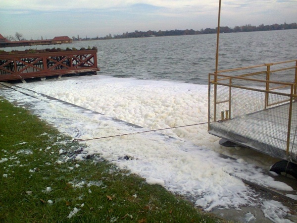 Palic