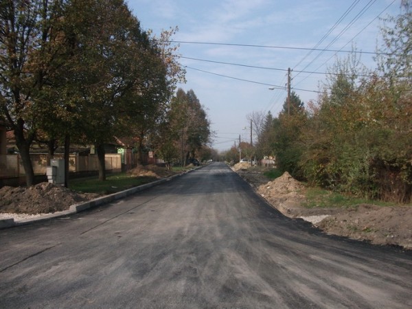 Ferenci Ibolje 5