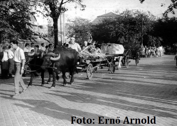 old timer subotica 2