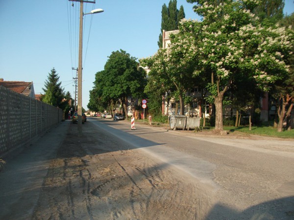 DSCF5955
