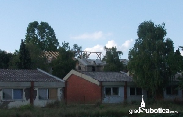 Omladinsko-naselje-Palic-2