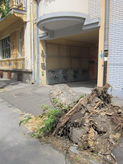 Picture 003