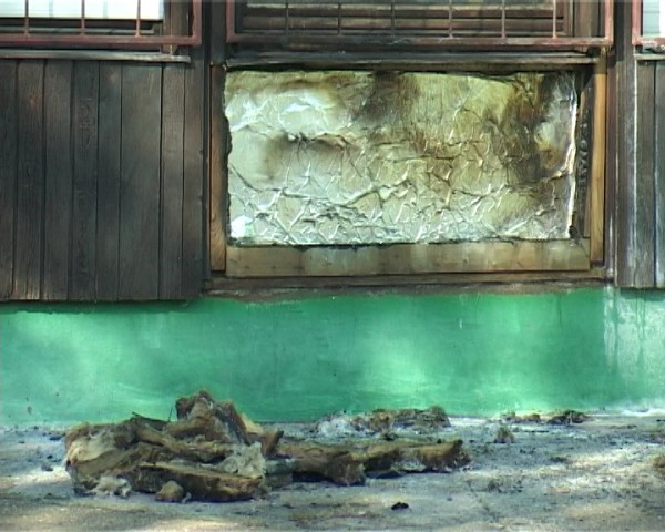 poyar2