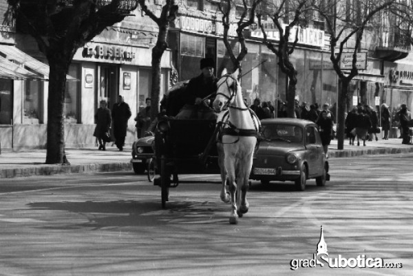 Subotica-Kocije-2