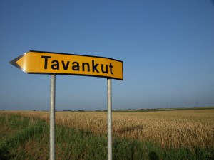 Tavankut