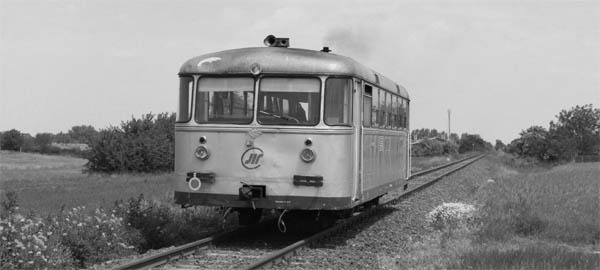 sinobus