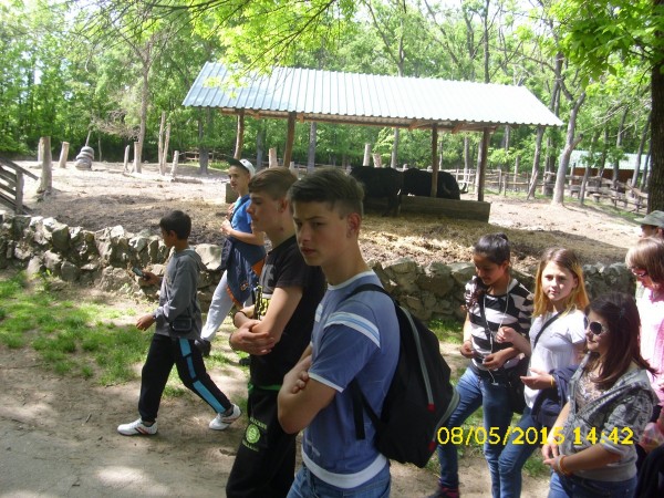 DSCI0135