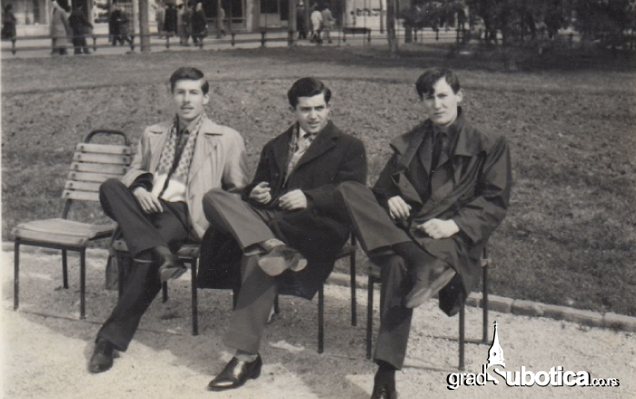 majmun-plac