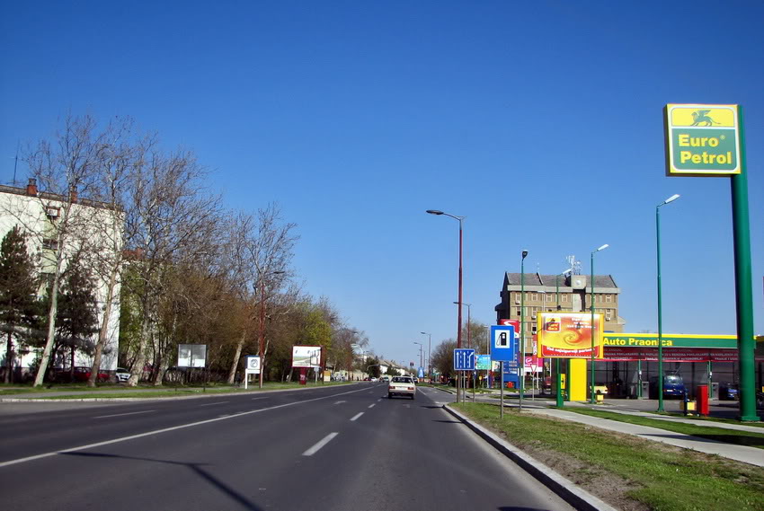 segedinski put