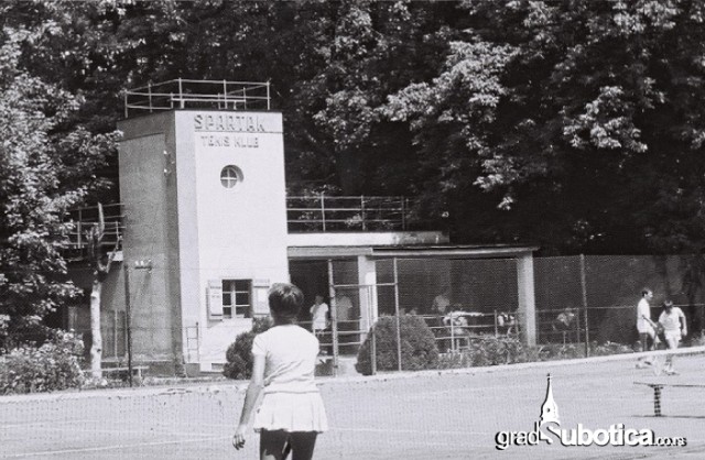 tenis-dudova-suma