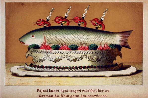 dobos_rajnai_lazac