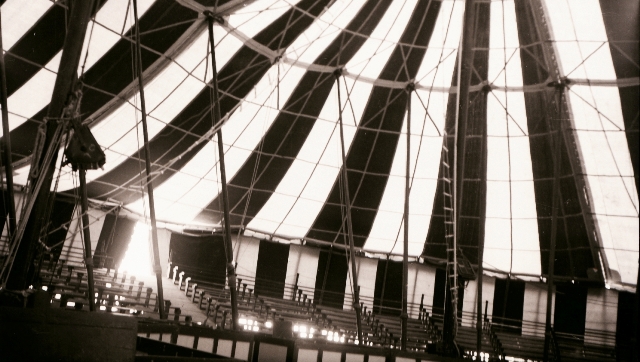 cirkus