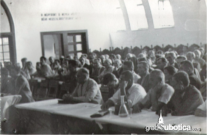 velika terasa 1946