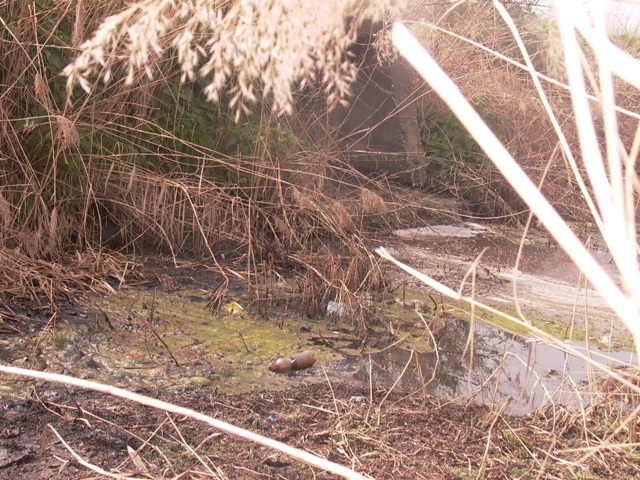 kanal ljutovo tavankut (1)