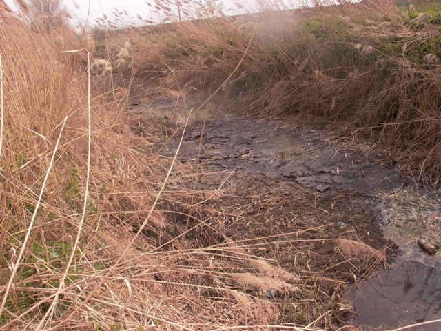 kanal ljutovo tavankut (5)