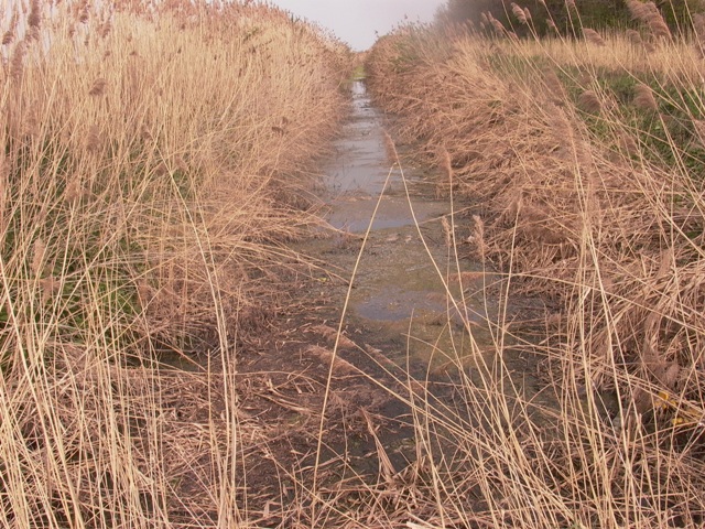 kanal ljutovo tavankut (8)
