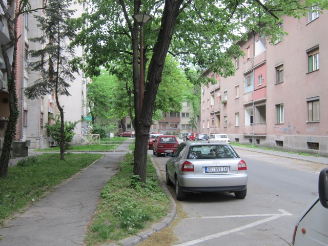 pavla stosa