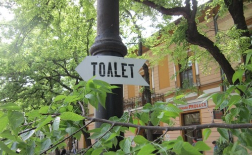 toilete (7)