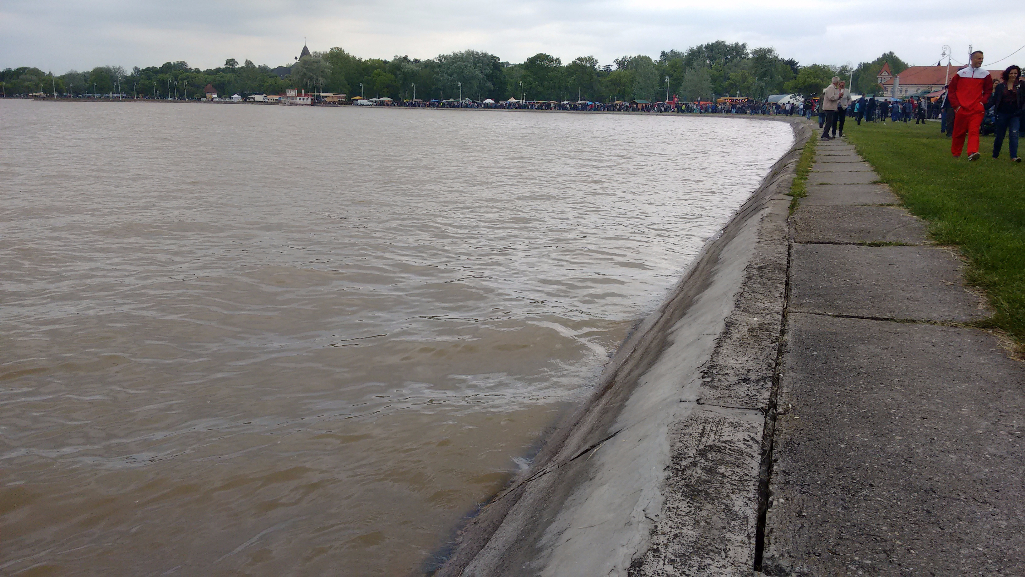 Palic18