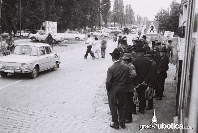 sesiri subotica 1