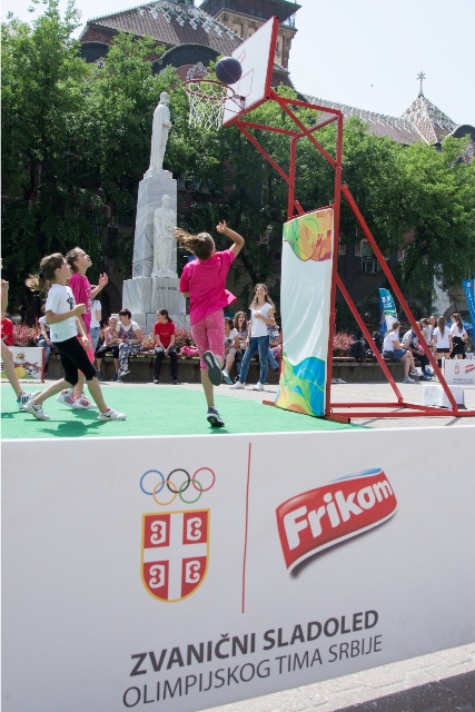 baklja frikom subotica (4)