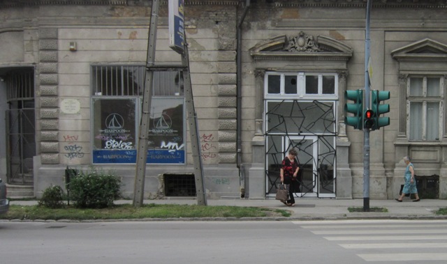 zmaj jovina