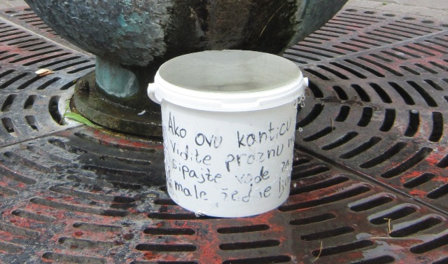 cesma korzo