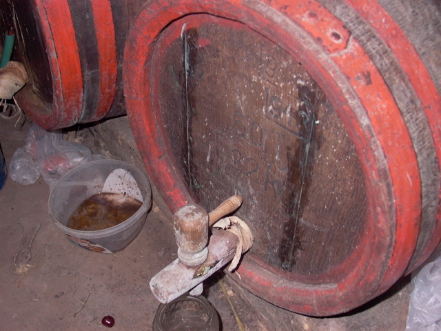 vino (1)