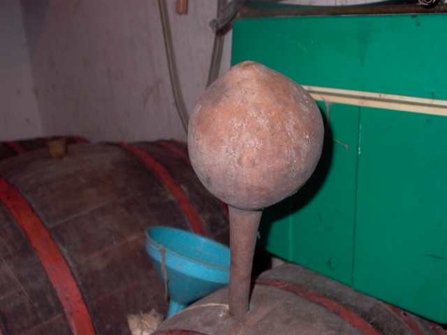 vino (2)