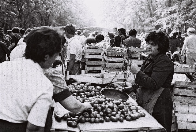 pijaca subotica nekad (2)