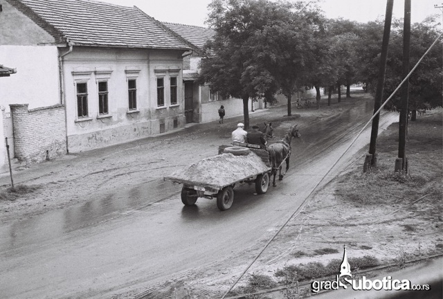 stari majsanski most (5)