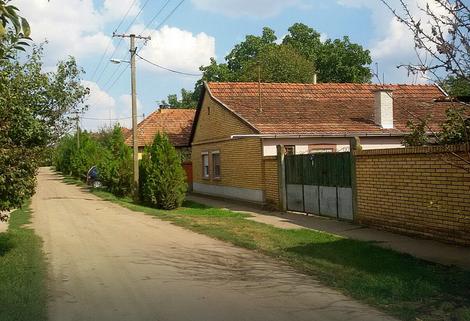 cantavir