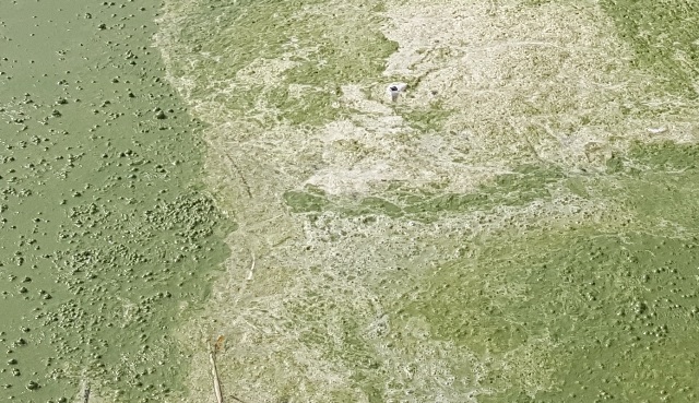 zagadjenje (11)