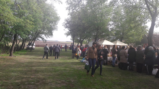 festival voca (2)