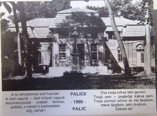 palic 85