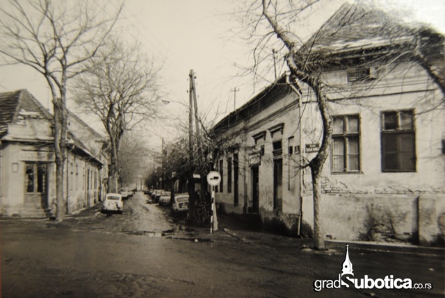 stara drapsinova (5)