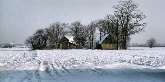 salasi