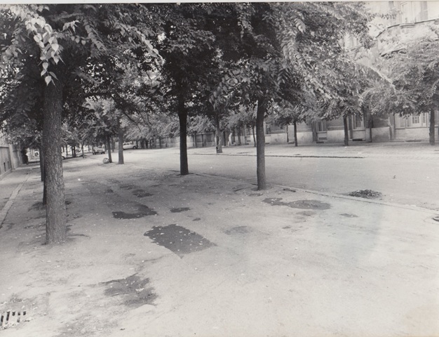 stara subotica