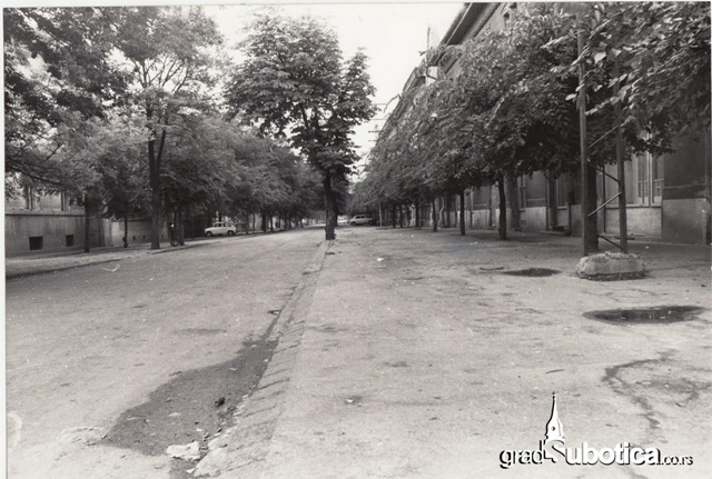 stara ulica matije gupca (2)