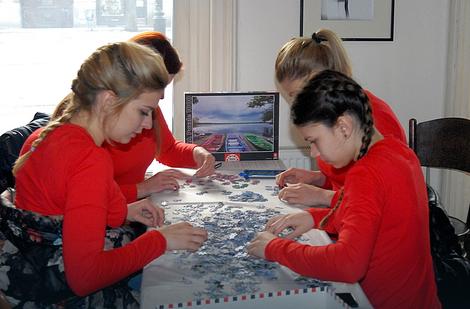 puzzle subotica (2)